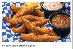 Catfish Fingers