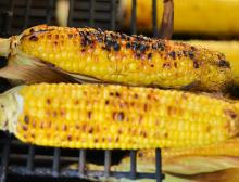 Spicy Grilled Corn on the Cob