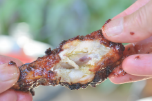 David Kelly's Stickt, Sweet, and Spicy Chicken Wings