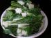 Bok Choy Leaves